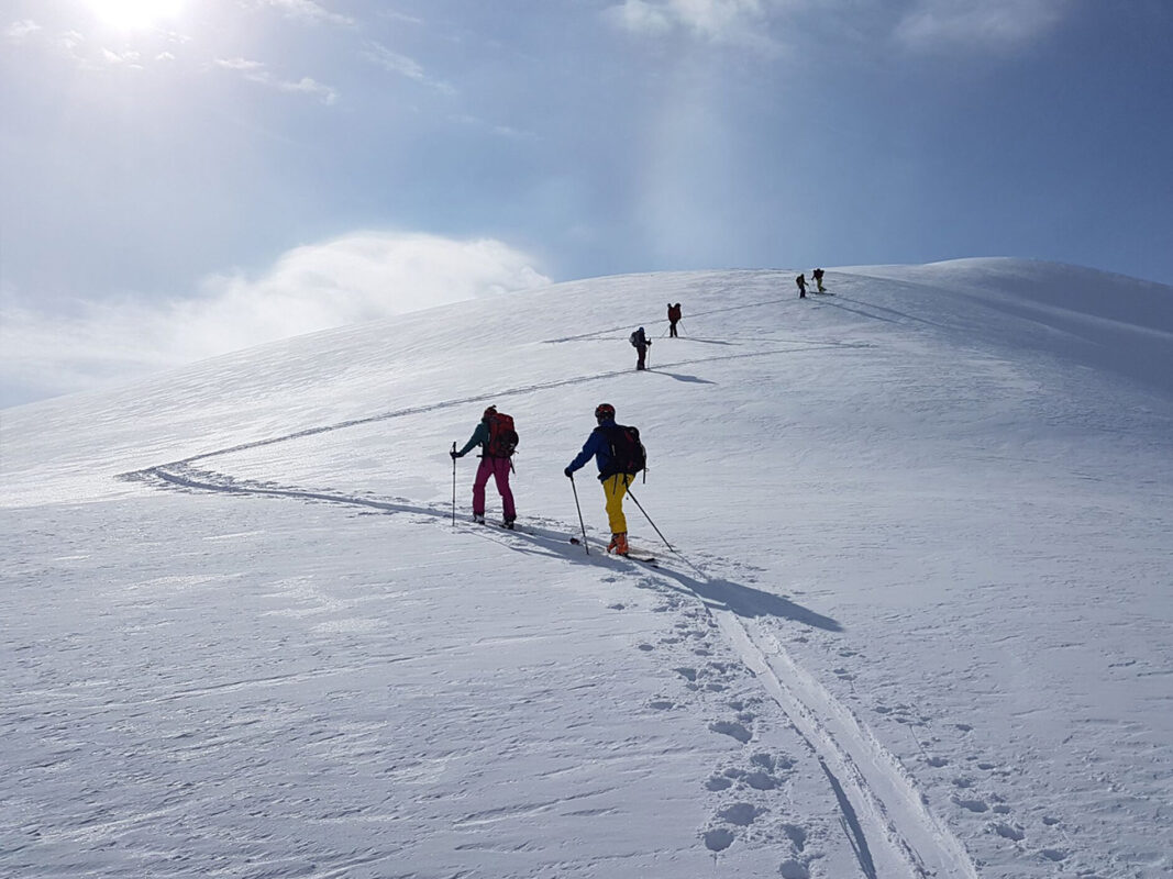 Wycieczki skitourowe z instruktorem. Grupa na nartach w trakcie wyprawy