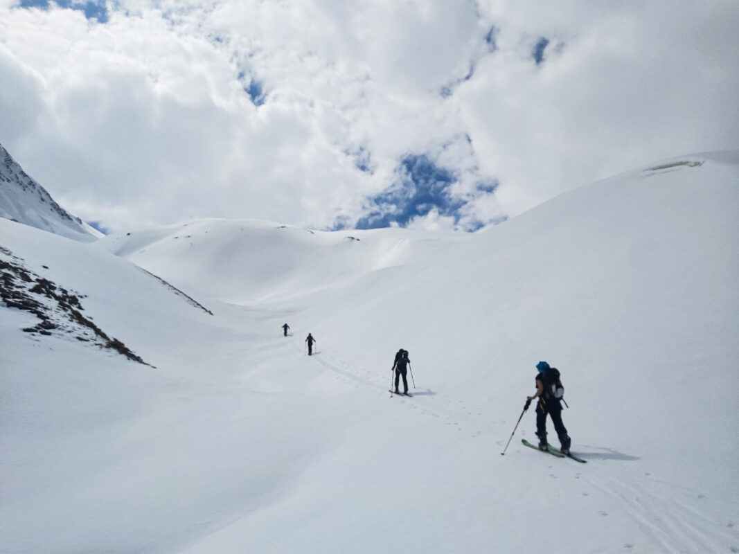 Jak dobrać narty skiturowe? Profesjonalne doradztwo i dopasowanie w wypożyczalni Freetours